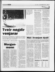 Síða 17