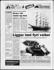Síða 20