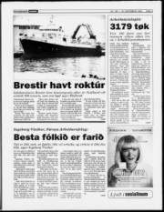 Síða 3