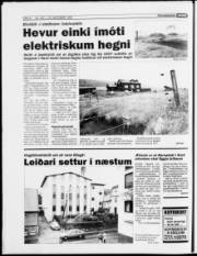 Síða 6