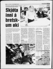 Síða 8