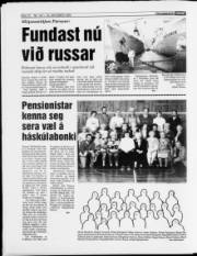 Síða 12