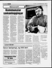 Síða 13