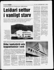 Síða 5