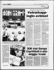 Síða 11
