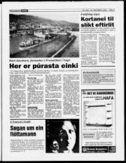 Síða 3