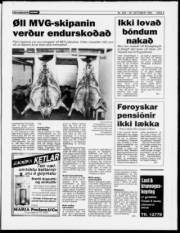 Síða 5