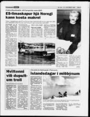 Síða 3