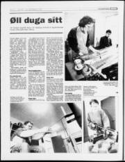 Síða 6