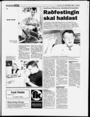 Síða 7