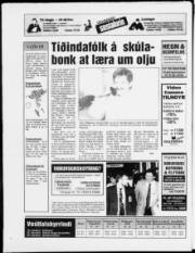 Síða 20