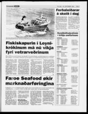 Síða 7