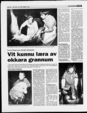 Síða 12