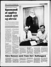 Síða 14