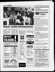 Síða 3
