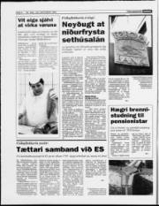 Síða 4