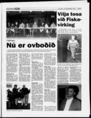Síða 5