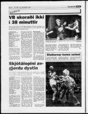 Síða 12