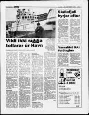 Síða 3