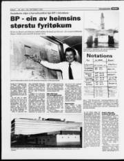Síða 8