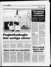 Síða 11