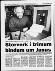 Síða 8