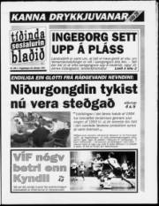Síða 1
