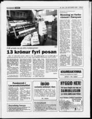 Síða 3