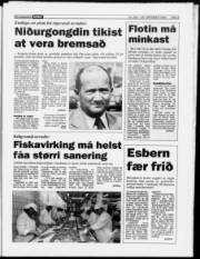 Síða 5