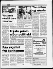 Síða 17