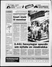 Síða 20