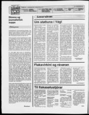 Síða 2