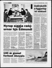 Síða 3