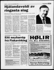 Síða 8