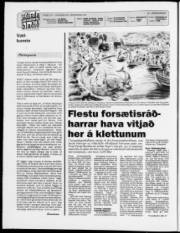 Síða 2