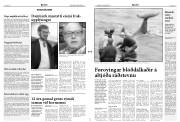 Síða 2