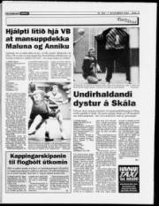 Síða 13