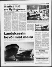 Síða 4
