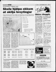 Síða 11