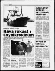 Síða 3