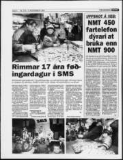 Síða 4