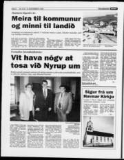 Síða 6