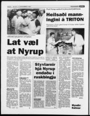Síða 6