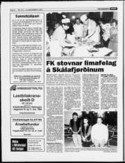 Síða 8