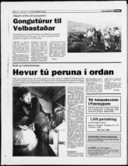 Síða 16