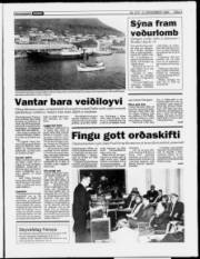 Síða 3