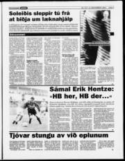 Síða 7