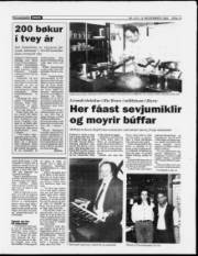 Síða 13