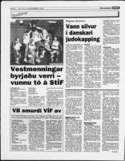 Síða 6