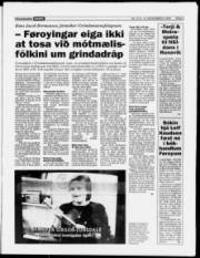 Síða 3